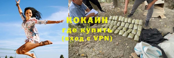 apvp Алзамай