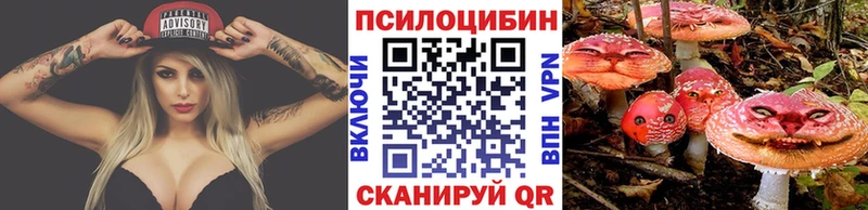 Псилоцибиновые грибы прущие грибы  дарнет шоп  Козловка 