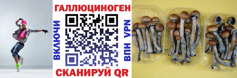 Псилоцибиновые грибы Psilocybine cubensis Козловка